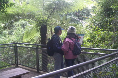 All-Day Blue Mountains Private Tour With Professional Guide For Up To 4 People - Tourism Gold Coast 19