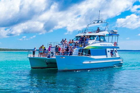 Jervis Bay Whale Watching Tour - Tourism Gold Coast 2