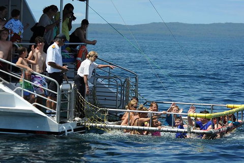 Jervis Bay Boom Netting And Dolphins Tour - Tourism Gold Coast 1