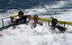 Jervis Bay Boom Netting And Dolphins Tour - thumb 9