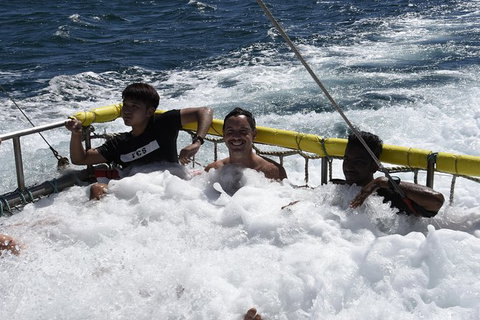 Jervis Bay Boom Netting And Dolphins Tour - Tourism Gold Coast 9