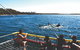 Jervis Bay Boom Netting And Dolphins Tour - thumb 2