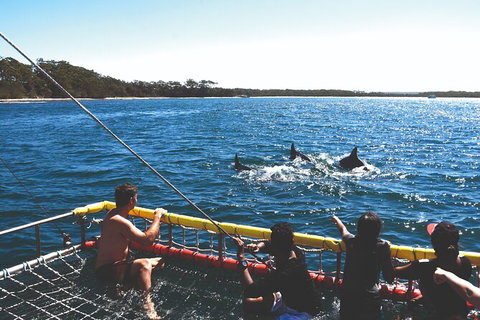 Jervis Bay Boom Netting And Dolphins Tour - Tourism Gold Coast 2