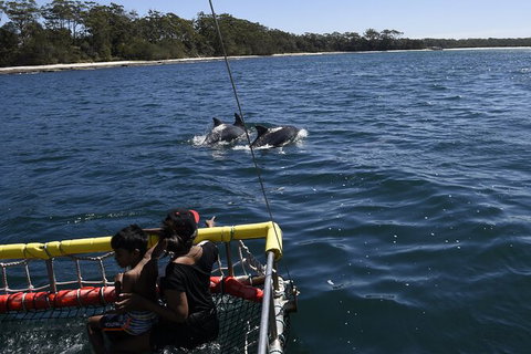 Jervis Bay Boom Netting And Dolphins Tour - Tourism Gold Coast 6
