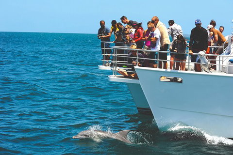 Jervis Bay Boom Netting And Dolphins Tour - Tourism Gold Coast 10