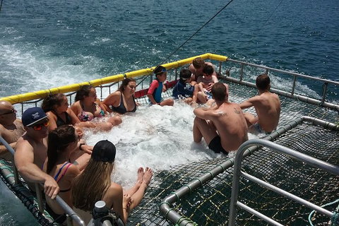 Jervis Bay Boom Netting And Dolphins Tour - Tourism Gold Coast 4