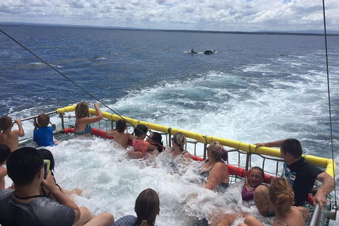 Jervis Bay Boom Netting And Dolphins Tour - Tourism Gold Coast 14