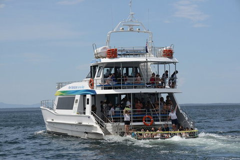 Jervis Bay Boom Netting And Dolphins Tour - Tourism Gold Coast 12