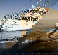 Jervis Bay Dolphin Watch Cruise - Tourism Gold Coast