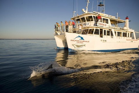 Jervis Bay Dolphin Watch Cruise - Tourism Gold Coast 2