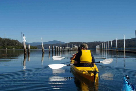 Batemans Bay Oyster Tasting Kayak Tour - Tourism Gold Coast 7