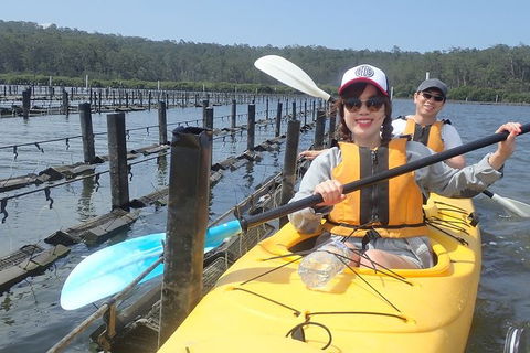 Batemans Bay Oyster Tasting Kayak Tour - Tourism Gold Coast 5