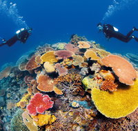 Agincourt Reef - Tourism Gold Coast