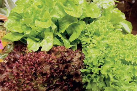 Apple Tree Creek - Tourism Gold Coast 0