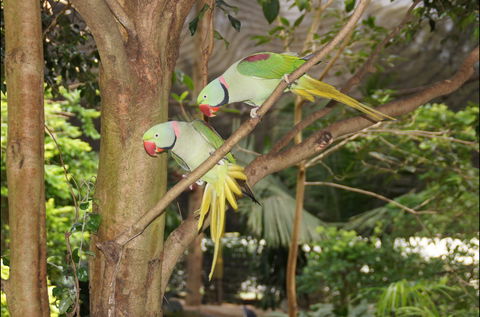 Apple Tree Creek - Tourism Gold Coast 2