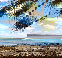Arrawarra-Corindi Beach - Tourism Gold Coast