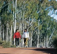 Arthur River - Tourism Gold Coast
