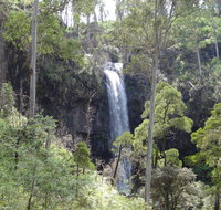 Bindaree Falls - Tourism Gold Coast