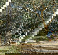 Bundanoon cycling route - Tourism Gold Coast