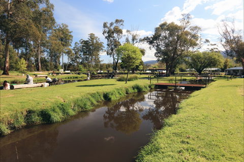 Buxton Trout And Salmon Farm - Tourism Gold Coast 1