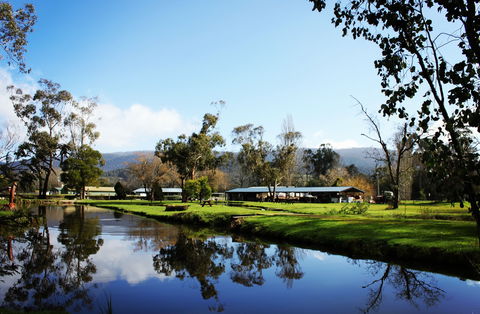 Buxton Trout And Salmon Farm - Tourism Gold Coast 2
