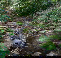 Cascades picnic area - Gold Coast