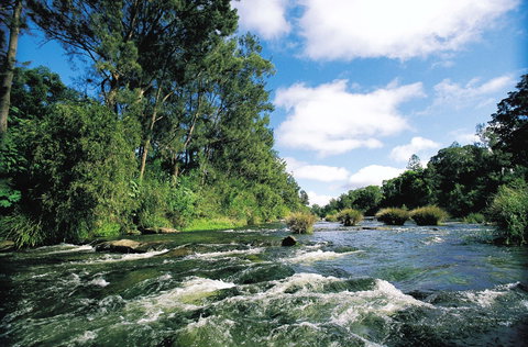 Casino - Tourism Gold Coast 0