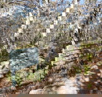 Cascades walking track and viewing platform - Tourism Gold Coast