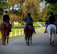 Centennial Stables - Tourism Gold Coast