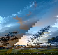 Cleveland Nandeebie/Indillie - Tourism Gold Coast