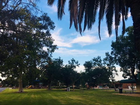 Cobram Mivo Park And Playground - Tourism Gold Coast 1