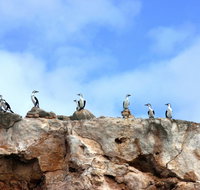 Dirk Hartog Island National Park - Tourism Gold Coast