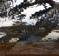 Duck Lagoon - Tourism Gold Coast