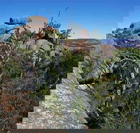 Evans Crown Nature Reserve - Tourism Gold Coast