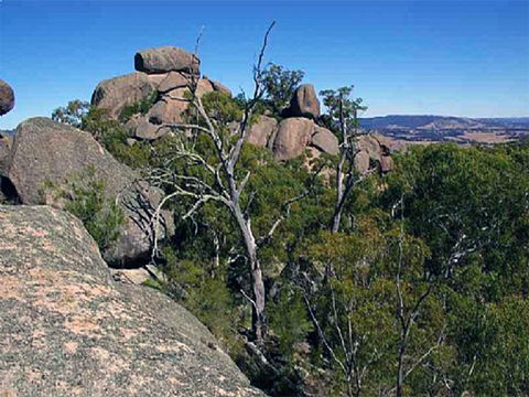Evans Crown Nature Reserve - Tourism Gold Coast 0