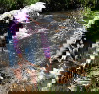 Fossicking - Tourism Gold Coast
