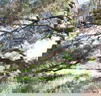 Gathercole Nature Reserve - Gold Coast