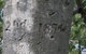 Gregory's Tree, Timber Creek - thumb 2
