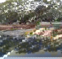 Green Corridor Walking Track - Tourism Gold Coast