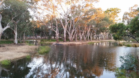 Green Corridor Walking Track - Tourism Gold Coast 1