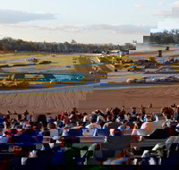 Ipswich Motorsport Precinct - Tourism Gold Coast