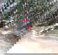 Jolly Nose Mountain Bike Park - Tourism Gold Coast