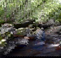 Kangaroo River - Tourism Gold Coast