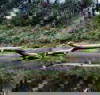 Kayaking Upper Tuross River and Bumbo Lake - Gold Coast