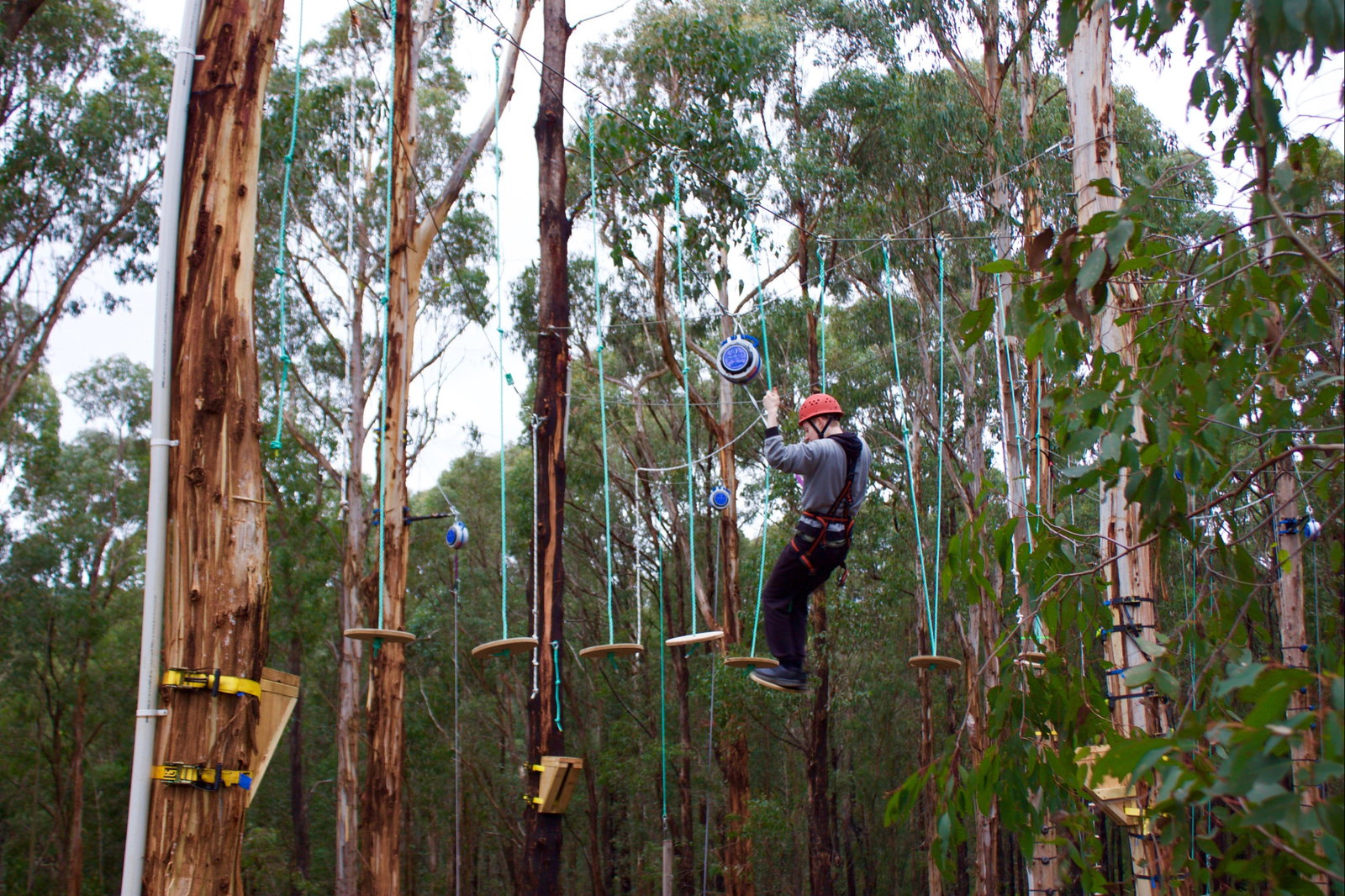 Kinglake West VIC Tourism Gold Coast
