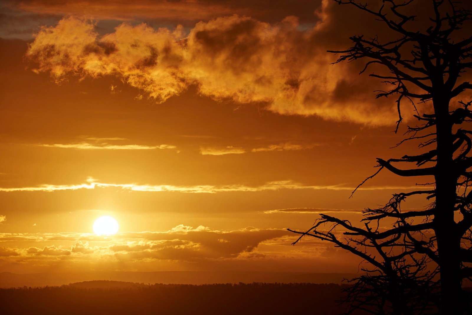 Kinglake Central VIC Tourism Gold Coast