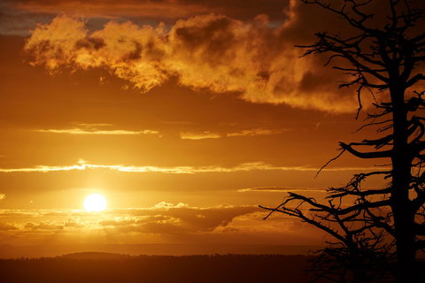 Lady Stonehavens Lookout - Tourism Gold Coast 0
