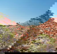 Lark Quarry Conservation Park - Tourism Gold Coast