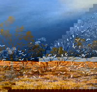 Lyn Barnes Gallery - Tourism Gold Coast