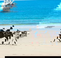 Mackay Harbour Beach - Tourism Gold Coast